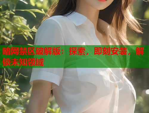 暗网禁区破解版：探索，即刻安装，解锁未知领域  第1张