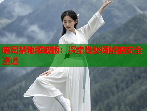 暗网禁地解破版：探索隐秘网络的安全通道  第1张