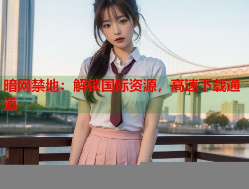 暗网禁地：解锁国际资源，高速下载通道  第1张