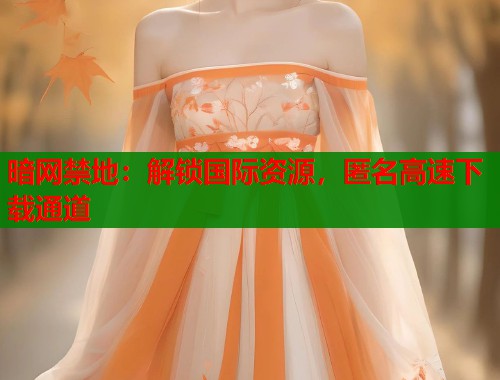 暗网禁地：解锁国际资源，匿名高速下载通道  第1张