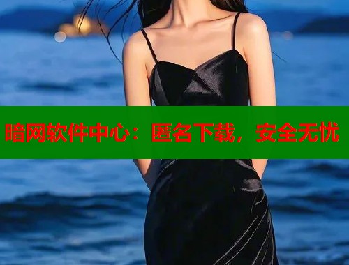 暗网软件中心：匿名下载，安全无忧