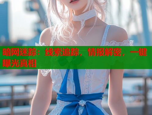 暗网迷踪：线索追踪，情报解密，一键曝光真相  第1张