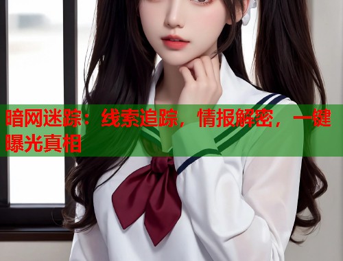 暗网迷踪：线索追踪，情报解密，一键曝光真相  第2张