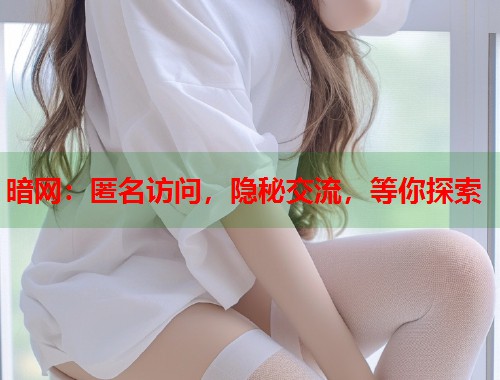 暗网：匿名访问，隐秘交流，等你探索  第1张