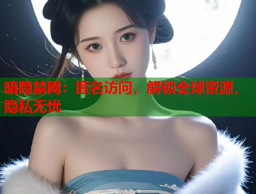 暗隐禁网：匿名访问，解锁全球资源，隐私无忧