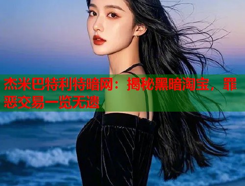杰米巴特利特暗网：揭秘黑暗淘宝，罪恶交易一览无遗  第1张