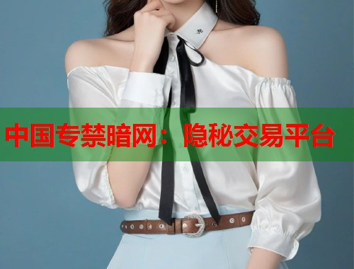 中国专禁暗网：隐秘交易平台  第1张
