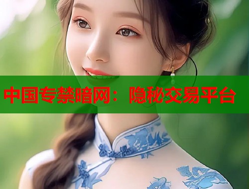 中国专禁暗网：隐秘交易平台  第2张