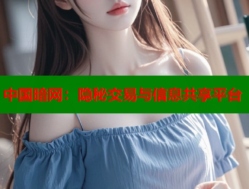 中国暗网：隐秘交易与信息共享平台  第1张