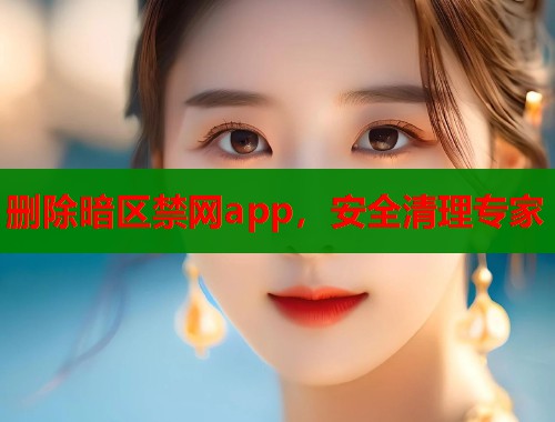 删除暗区禁网app，安全清理专家  第1张