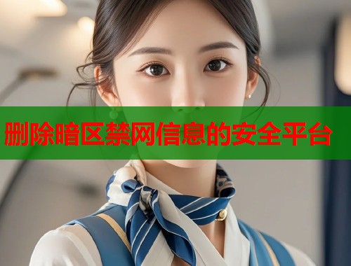删除暗区禁网信息的安全平台  第1张