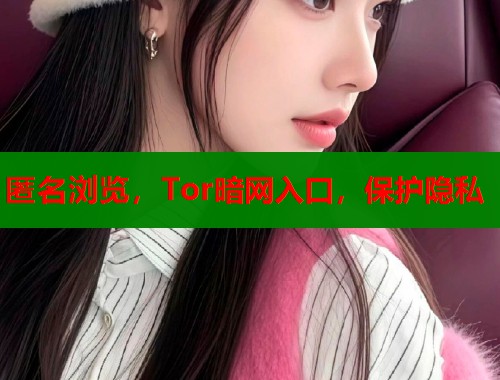 匿名浏览，Tor暗网入口，保护隐私  第1张
