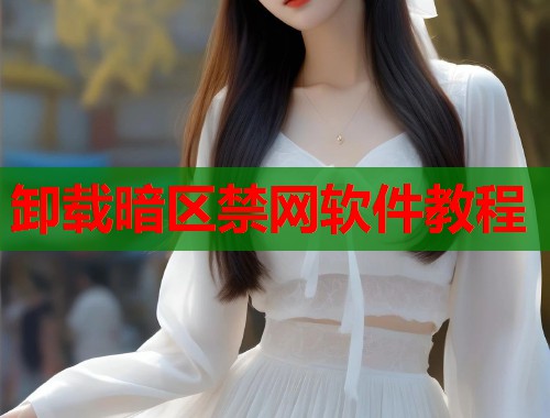 卸载暗区禁网软件教程  第1张