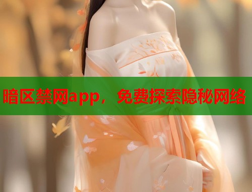 暗区禁网app，免费探索隐秘网络