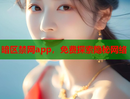暗区禁网app，免费探索隐秘网络  第2张