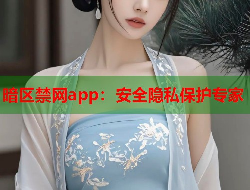 暗区禁网app：安全隐私保护专家  第2张
