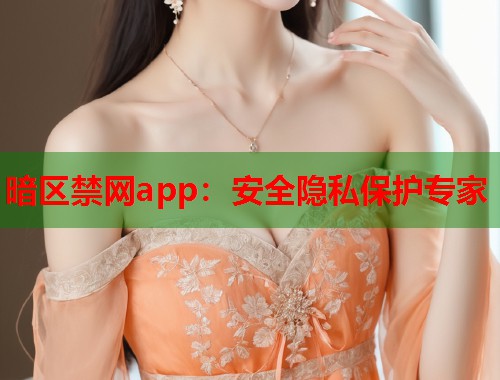 暗区禁网app：安全隐私保护专家  第1张