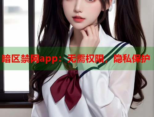 暗区禁网app：无需权限，隐私保护