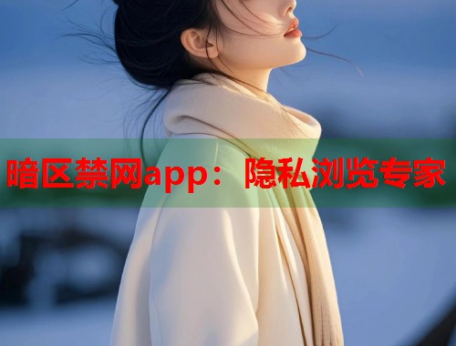 暗区禁网app：隐私浏览专家  第1张