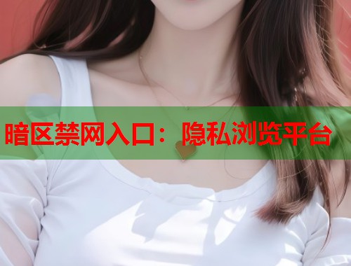暗区禁网入口：隐私浏览平台