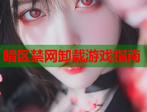暗区禁网卸载游戏指南  第1张