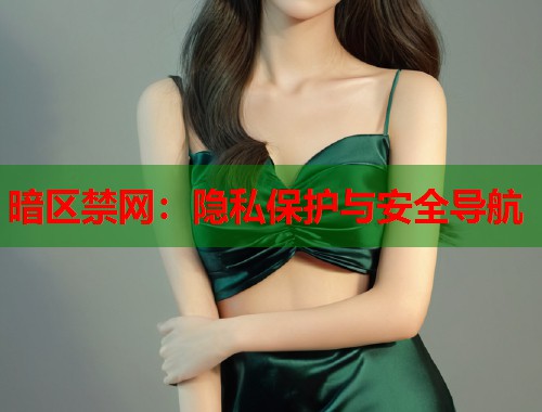暗区禁网：隐私保护与安全导航  第1张