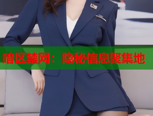 暗区禁网：隐秘信息聚集地  第1张