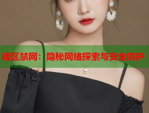 暗区禁网：隐秘网络探索与安全防护