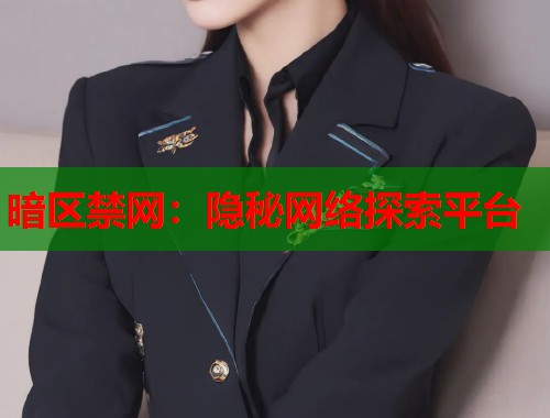 暗区禁网：隐秘网络探索平台  第1张