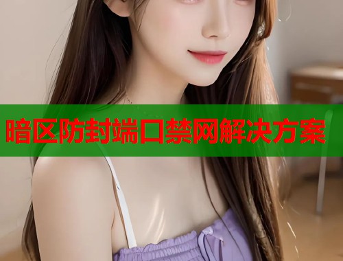 暗区防封端口禁网解决方案  第1张
