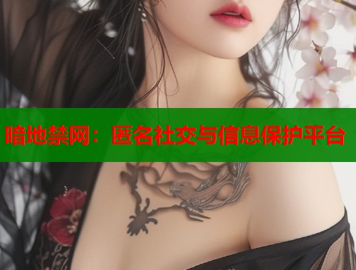 暗地禁网：匿名社交与信息保护平台  第1张