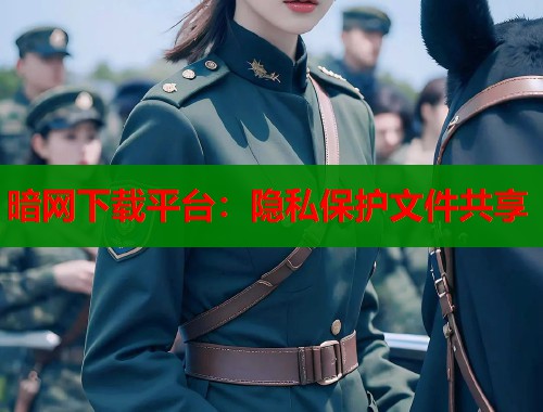 暗网下载平台：隐私保护文件共享  第1张