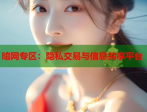 暗网专区：隐私交易与信息共享平台  第2张