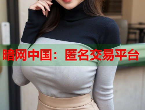 暗网中国：匿名交易平台  第1张
