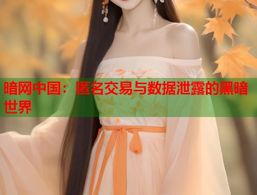 暗网中国：匿名交易与数据泄露的黑暗世界  第1张