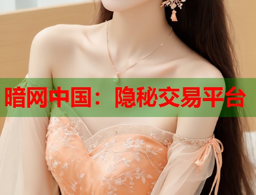 暗网中国：隐秘交易平台  第1张