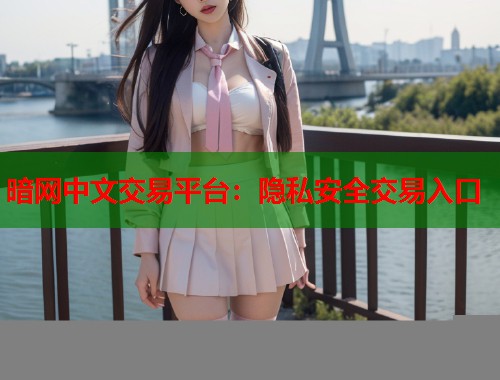暗网中文交易平台：隐私安全交易入口  第2张