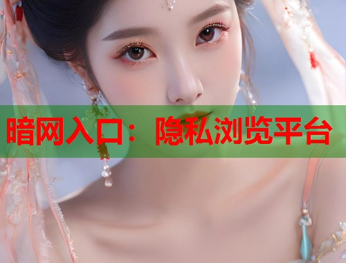 暗网入口：隐私浏览平台  第1张