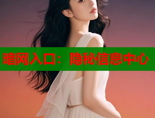 暗网入口：隐秘信息中心  第1张