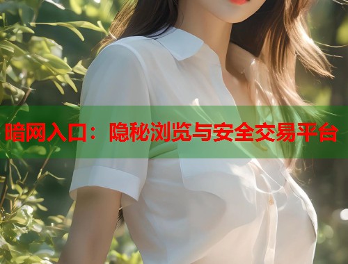 暗网入口：隐秘浏览与安全交易平台  第1张