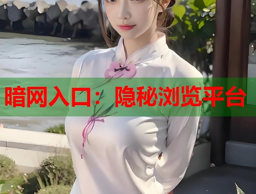 暗网入口：隐秘浏览平台  第1张