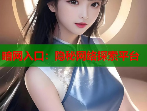 暗网入口：隐秘网络探索平台  第1张