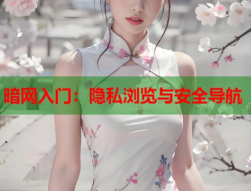 暗网入门：隐私浏览与安全导航  第1张