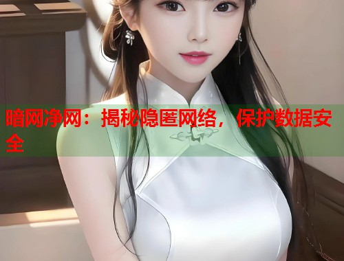 暗网净网：揭秘隐匿网络，保护数据安全  第2张