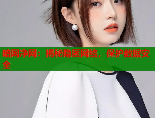 暗网净网：揭秘隐匿网络，保护数据安全  第1张