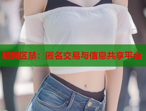 暗网区禁：匿名交易与信息共享平台  第1张