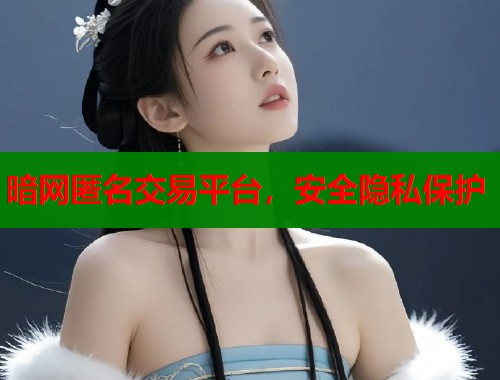 暗网匿名交易平台，安全隐私保护