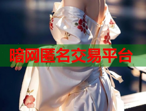 暗网匿名交易平台  第1张