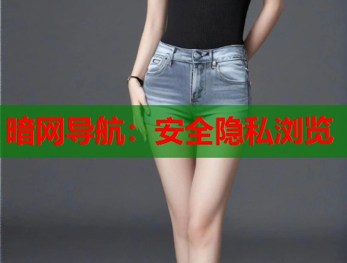 暗网导航：安全隐私浏览  第1张