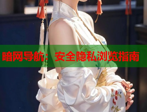 暗网导航：安全隐私浏览指南  第1张